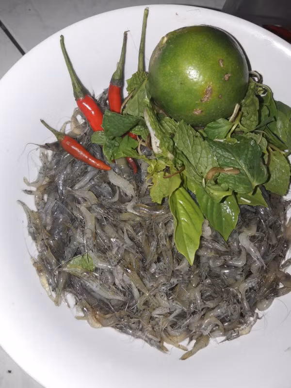 Rõ ràng không phải ai cũng đủ can đảm để thưởng thức những chú tép còn đang quẫy tanh tách như thế này. Ảnh: otosaigon.