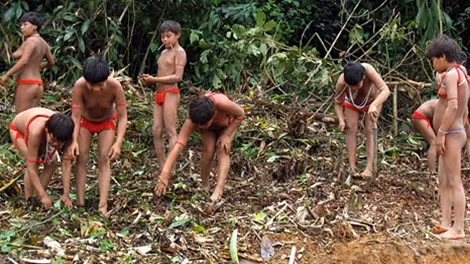 Bo toc Yanomami an tro nguoi chet, nhot thieu nu bo doi ca tuan-Hinh-2