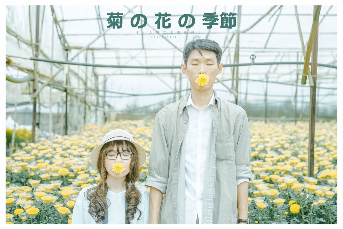 Hoa cúc tưởng chừng như giản dị, mộc mạc, nhưng chính vì thế mà lại mang vẻ đẹp trong trẻo, thuần khiết. Và khi lên hình, nó đủ sức tạo ra những khung ảnh xinh lung linh không thua kém bất kì loại hoa mỹ miều nào khác.