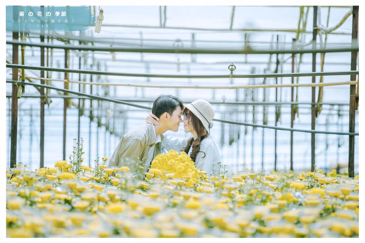 Với màu ảnh êm dịu, gợi cảm giác nhẹ nhàng cho người xem, bộ ảnh đã nhận được sự chú ý rất lớn từ phía cư dân mạng.