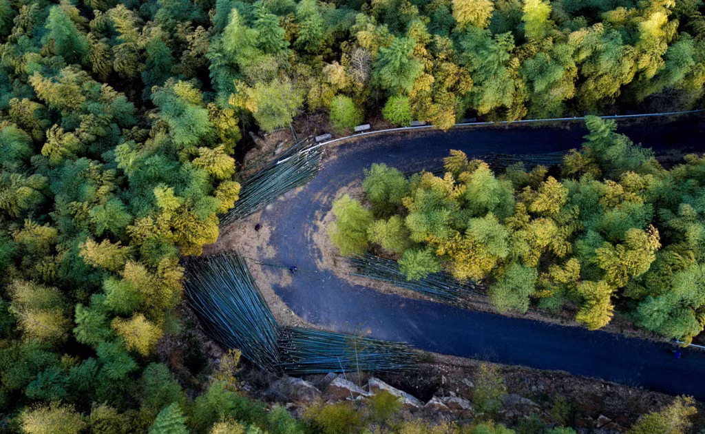 Ron rang mua thu hoach mang tuoi o Chiet Giang