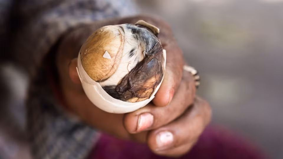 Balut: Trứng vịt lộn là món ăn phổ biến ở Philippines, Việt Nam và các quốc gia Đông Nam Á khác. Tuy nhiên, món ăn này bị nhiều du khách quốc tế đánh giá là kinh dị. Ảnh: AVClub.