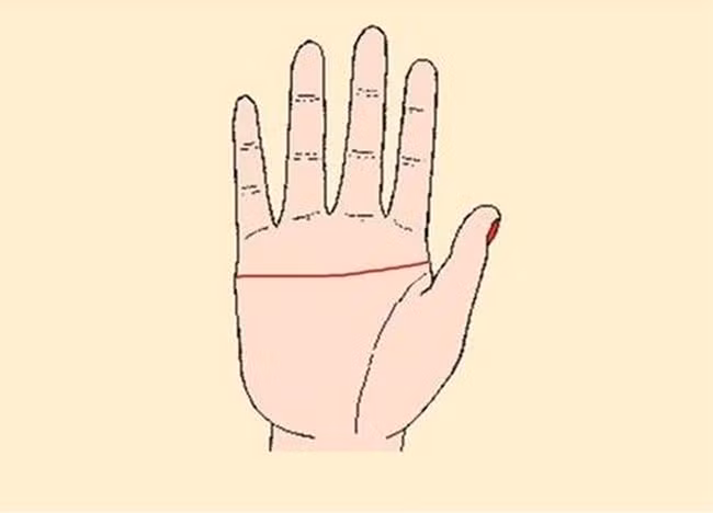 4 duong chi tay du bao chu nhan dac biet: May man lam moi co!-Hinh-3