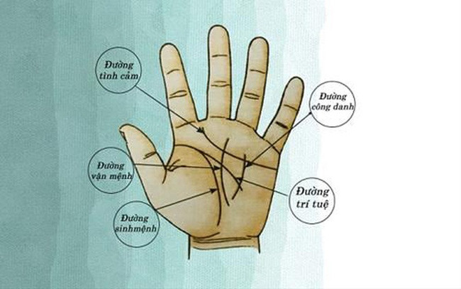 4 đường chỉ tay dự báo chủ nhân đặc biệt: May mắn lắm mới có! 4 duong chi tay du bao chu nhan dac biet: May man lam moi co!
