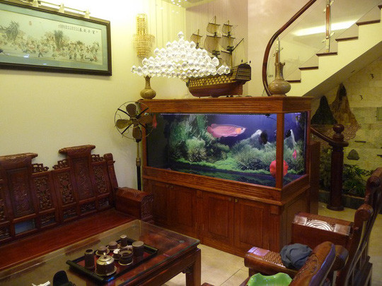 Be ca dat o 5 vi tri nay trach sao nam qua hao tai tan loc