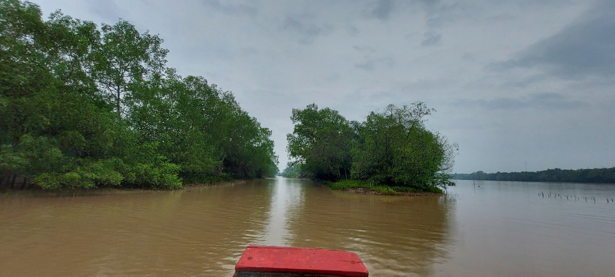 Bi an chua loi giai ve ca Ong luy o song Co Chien-Hinh-6