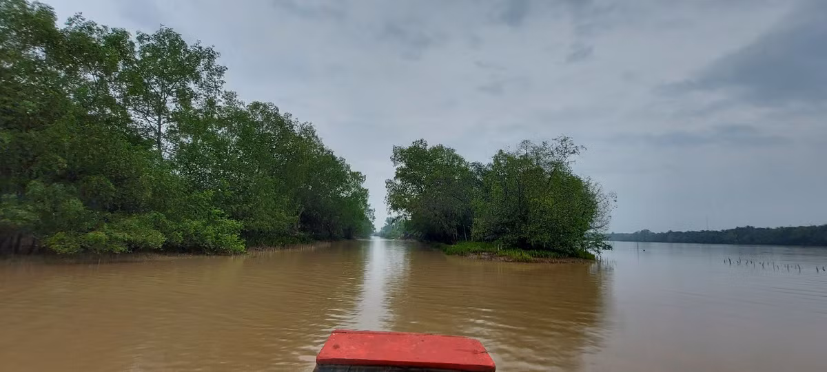 Bi an chua loi giai ve ca Ong luy o song Co Chien-Hinh-6