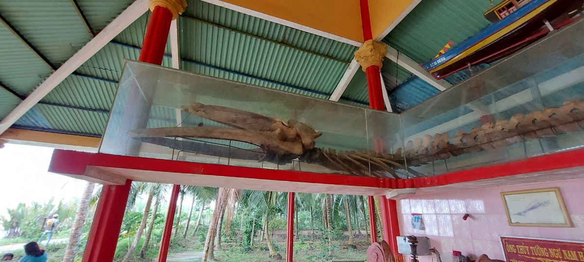 Bi an chua loi giai ve ca Ong luy o song Co Chien-Hinh-4