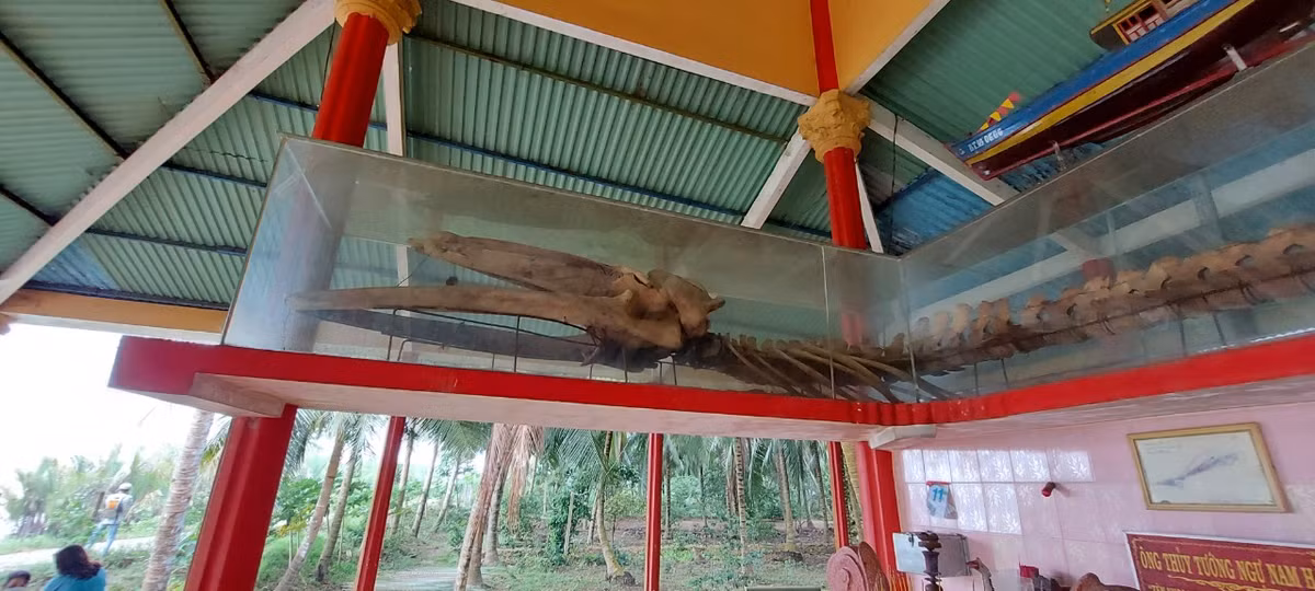 Bi an chua loi giai ve ca Ong luy o song Co Chien-Hinh-4