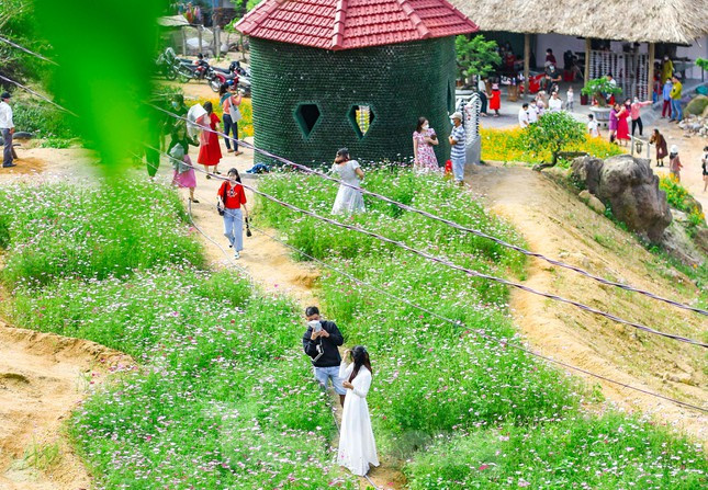 Du khách đến tham quan, chụp ảnh tại nhà vườn dịp năm mới.