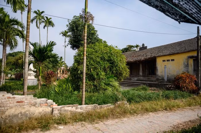 Sau gần 700 năm tuổi, ngôi chùa đang trong tình trạng xuống cấp trầm trọng.