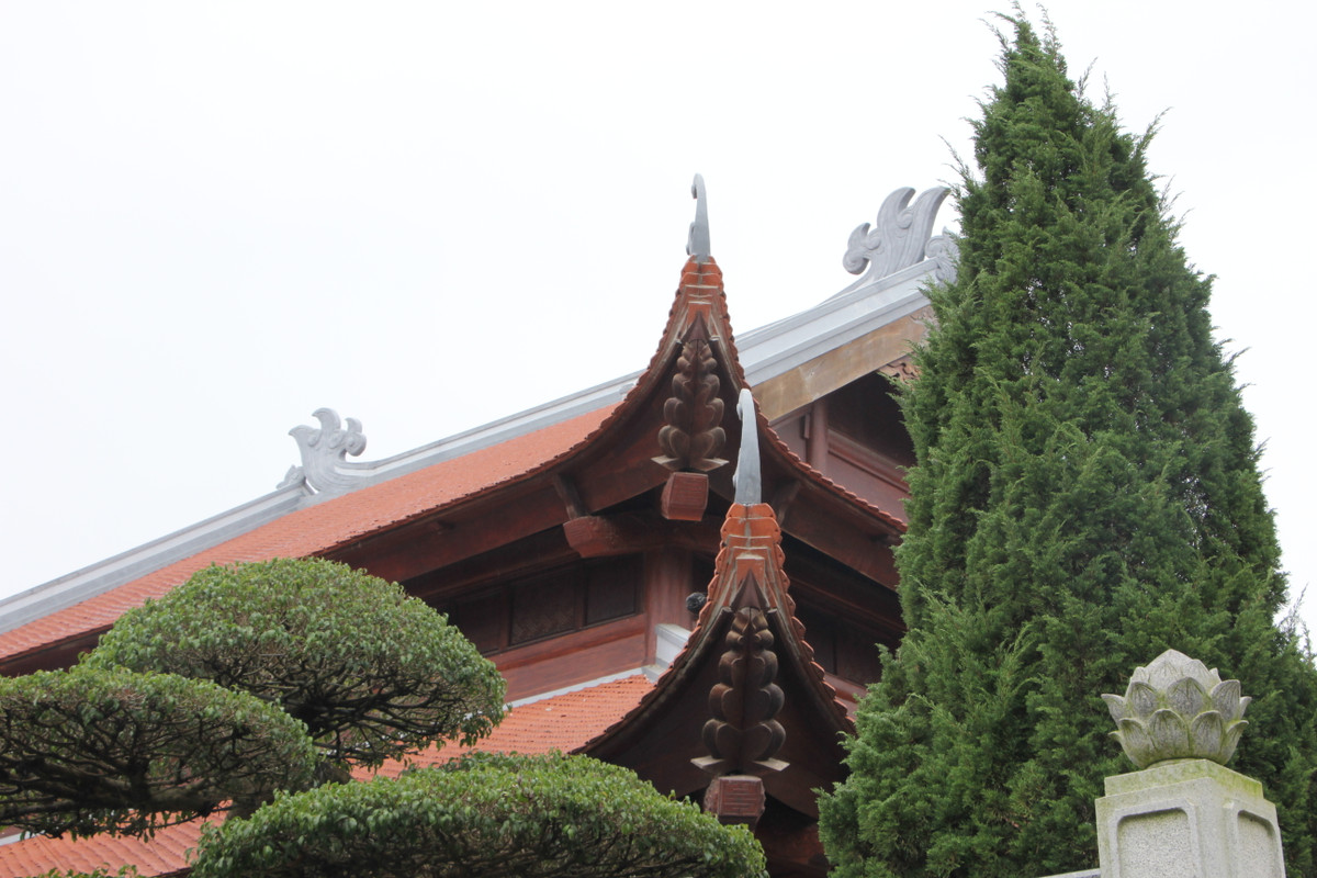 Đặc biệt, đồn điền Chi Nê là nơi dừng chân của nhiều cán bộ cấp cao của Đảng và Nhà nước trong thời kỳ hoạt động cách mạng.