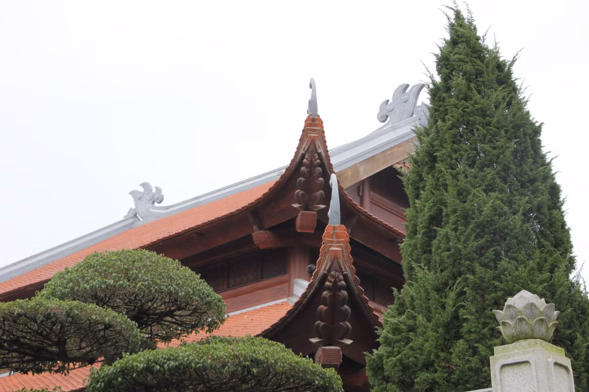 Đặc biệt, đồn điền Chi Nê là nơi dừng chân của nhiều cán bộ cấp cao của Đảng và Nhà nước trong thời kỳ hoạt động cách mạng.