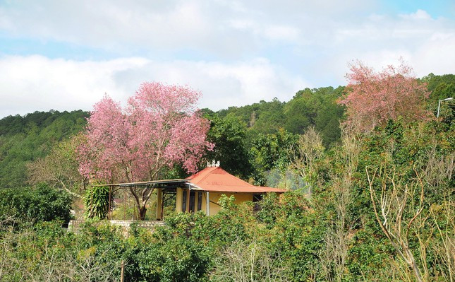 "Do đang tình hình dịch COVID-19 nên để đảm bảo an toàn phòng chống dịch, chúng tôi đều đã tiêm đủ 2-3 mũi vắc xin trước khi đến Đà Lạt, với lại cũng ghé chụp ảnh rồi đi ngay, không ở lâu vì còn những người khác tới nữa" - bạn Minh chia sẻ. 