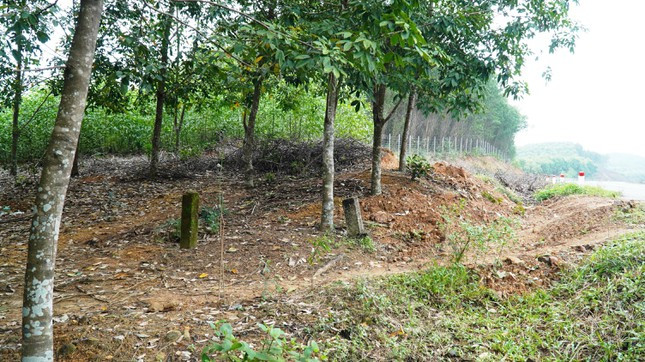 Sắp đưa vào khai thác, tuyến cao tốc La Sơn - Túy Loan bị “xé rào” nhiều nơi - Hình 12 Sap dua vao khai thac, tuyen cao toc La Son - Tuy Loan bi “xe rao” nhieu noi-Hinh-12