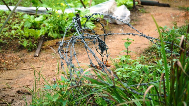 Sắp đưa vào khai thác, tuyến cao tốc La Sơn - Túy Loan bị “xé rào” nhiều nơi - Hình 10 Sap dua vao khai thac, tuyen cao toc La Son - Tuy Loan bi “xe rao” nhieu noi-Hinh-10