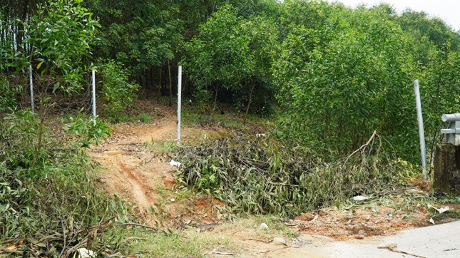 Sắp đưa vào khai thác, tuyến cao tốc La Sơn - Túy Loan bị “xé rào” nhiều nơi - Hình 11 Sap dua vao khai thac, tuyen cao toc La Son - Tuy Loan bi “xe rao” nhieu noi-Hinh-11