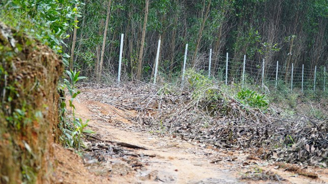 Sắp đưa vào khai thác, tuyến cao tốc La Sơn - Túy Loan bị “xé rào” nhiều nơi - Hình 3 Sap dua vao khai thac, tuyen cao toc La Son - Tuy Loan bi “xe rao” nhieu noi-Hinh-3