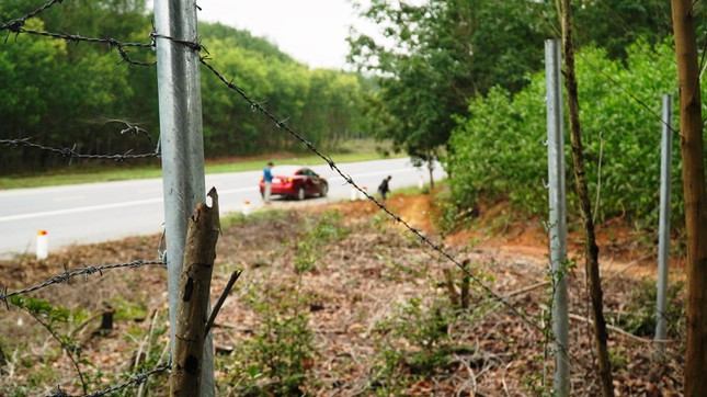 Sắp đưa vào khai thác, tuyến cao tốc La Sơn - Túy Loan bị “xé rào” nhiều nơi - Hình 5 Sap dua vao khai thac, tuyen cao toc La Son - Tuy Loan bi “xe rao” nhieu noi-Hinh-5