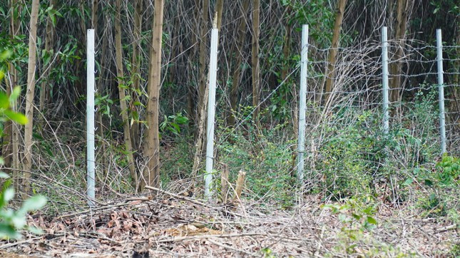 Sắp đưa vào khai thác, tuyến cao tốc La Sơn - Túy Loan bị “xé rào” nhiều nơi - Hình 4 Sap dua vao khai thac, tuyen cao toc La Son - Tuy Loan bi “xe rao” nhieu noi-Hinh-4