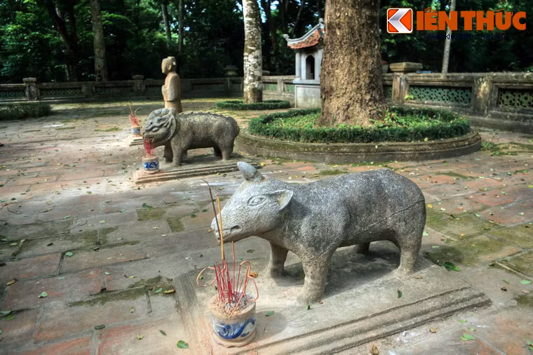 Đặc biệt, sự xuất hiện của tượng tê giác có thể nói là điều hy hữu, vì hình tượng loài vật này hầu như không được ghi nhận tại các công trình thờ tự cổ khác ở Việt Nam.