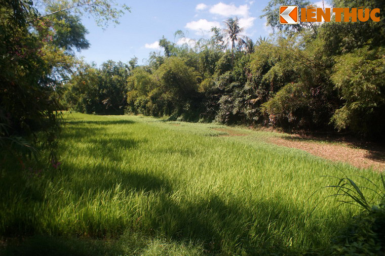 Khung cảnh làng quê yên bình nơi cố Tổng bí thư Trần Phú chào đời.