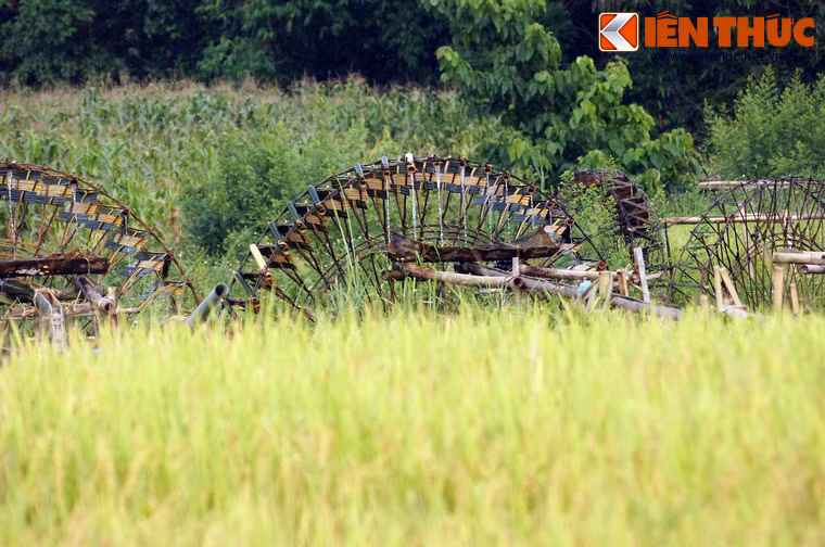 Không đơn thuần chỉ là một công cụ thủy lợi, cọn nước đã trở thành một bản sắc văn hóa độc đáo, góp phần làm phong phú cho kho tàng văn hóa các dân tộc của Việt Nam.
