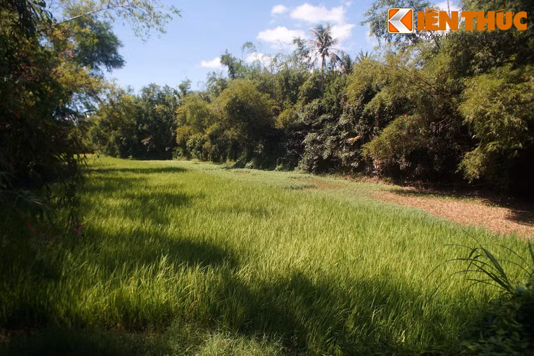 Khung cảnh làng quê yên bình nơi cố Tổng bí thư Trần Phú chào đời.