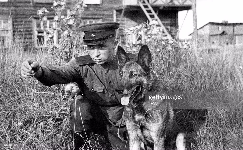 Trung sĩ S.V. Talyzin của Hồng quân Luên Xô bên chú chó của mình ở mặt trận Leningrad, 1943. Ảnh: Getty.