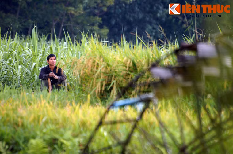 Bảo tồn những vòng quay vĩnh cửu của cọn nước cũng là gìn giữ một lối sống trong lành, gần gũi với thiên nhiên của con người Tây Bắc.