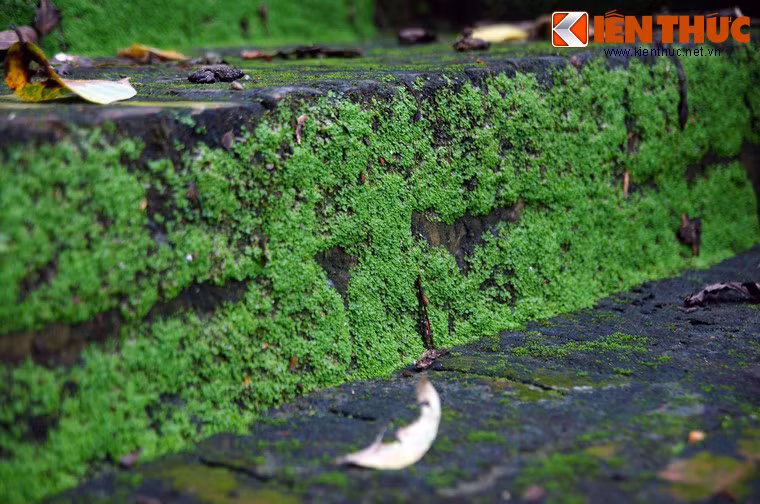 Những bậc đá rêu phủ xanh rì.