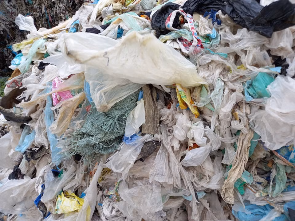 Chủ yếu là túi nilon.