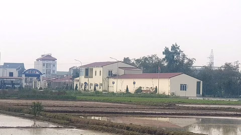 Duoc chap thuan dau tu, Thinh Vuong 66 da hop thuc duoc sai pham?-Hinh-2