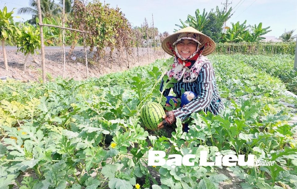 Chuyển đổi mô hình đa cây, đa con cho hiệu quả kinh tế cao Chuyen doi mo hinh da cay, da con cho hieu qua kinh te cao