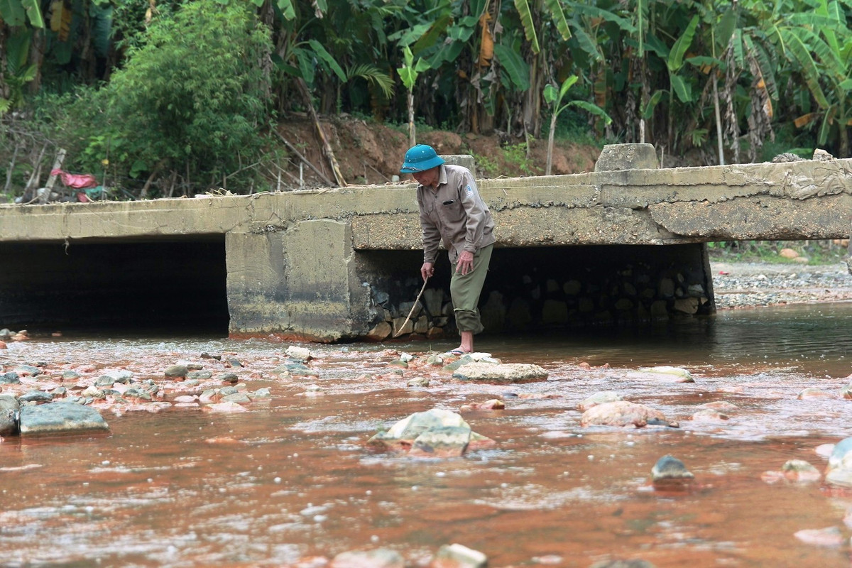 UBND huyện Quỳ Hợp cảnh báo người dân các xã có liên quan không đánh bắt cá, ăn cá chết hay sử dụng nguồn nước dòng suối Nậm Huống trong sinh hoạt.