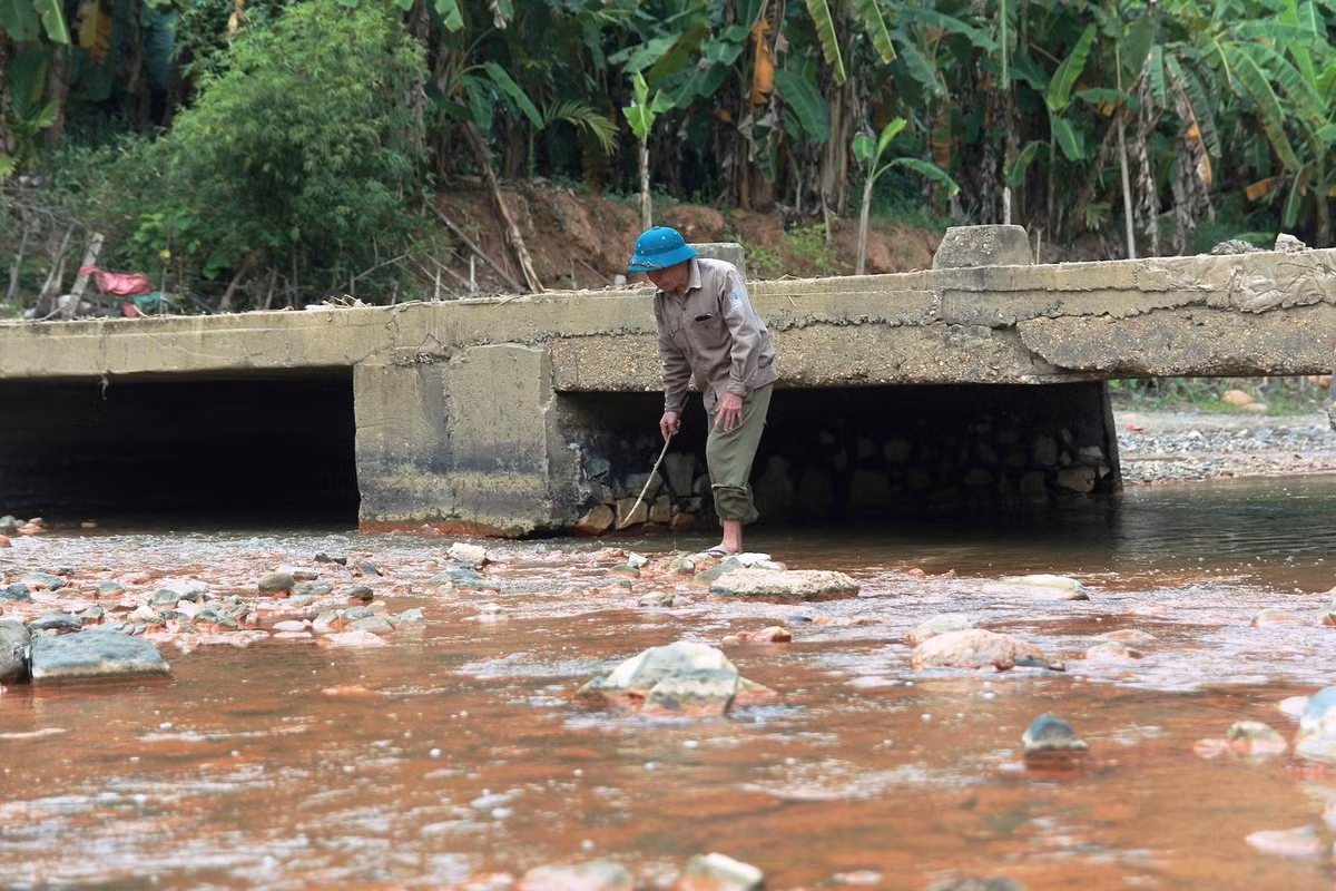 UBND huyện Quỳ Hợp cảnh báo người dân các xã có liên quan không đánh bắt cá, ăn cá chết hay sử dụng nguồn nước dòng suối Nậm Huống trong sinh hoạt.