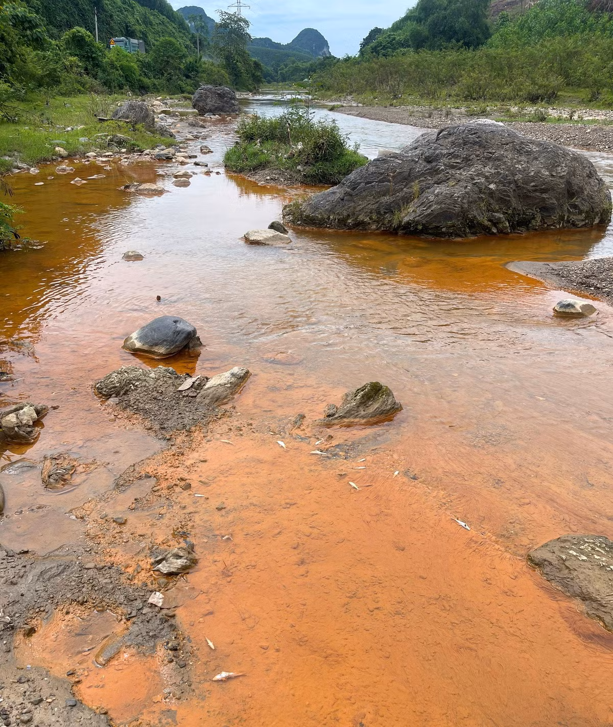 Khu vực suối Nậm Huống, bản Cải, xã Châu Thành, huyện Quỳ Hợp (Nghệ An) nước chuyển sang màu đục, cá chết bất thường… khiến người dân lo lắng.