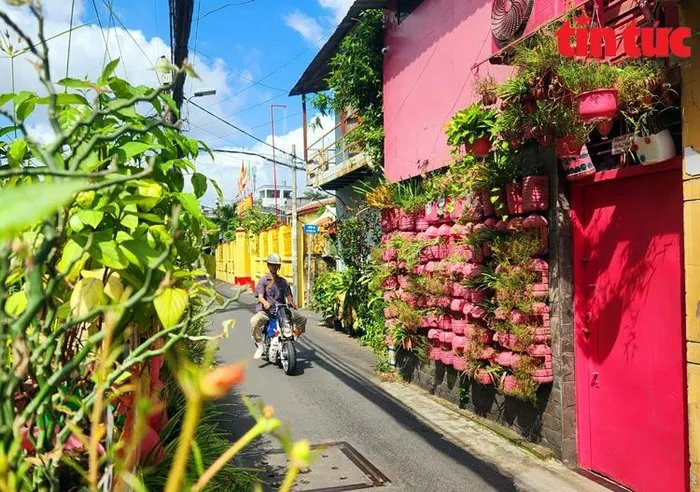 Cụ ông yêu màu hồng và niềm đam mê tái chế, bảo vệ môi trường Cu ong yeu mau hong va niem dam me tai che, bao ve moi truong