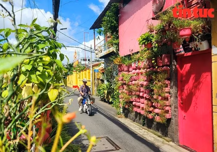 Cu ong yeu mau hong va niem dam me tai che, bao ve moi truong