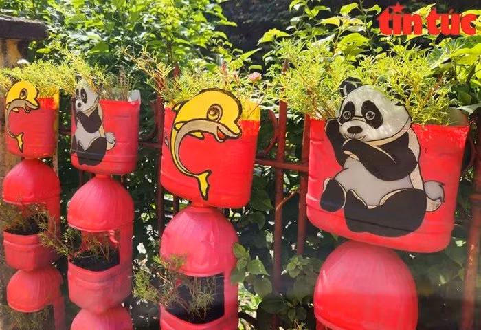 Cu ong yeu mau hong va niem dam me tai che, bao ve moi truong-Hinh-3