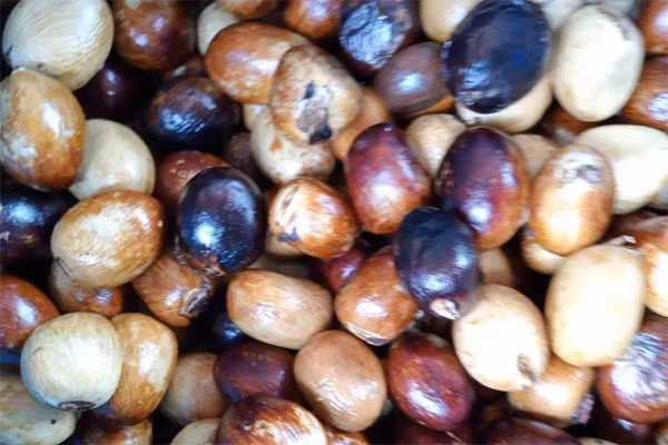 Khách hàng “mỏi mắt” tìm mua hạt mề gà Khach hang “moi mat” tim mua hat me ga