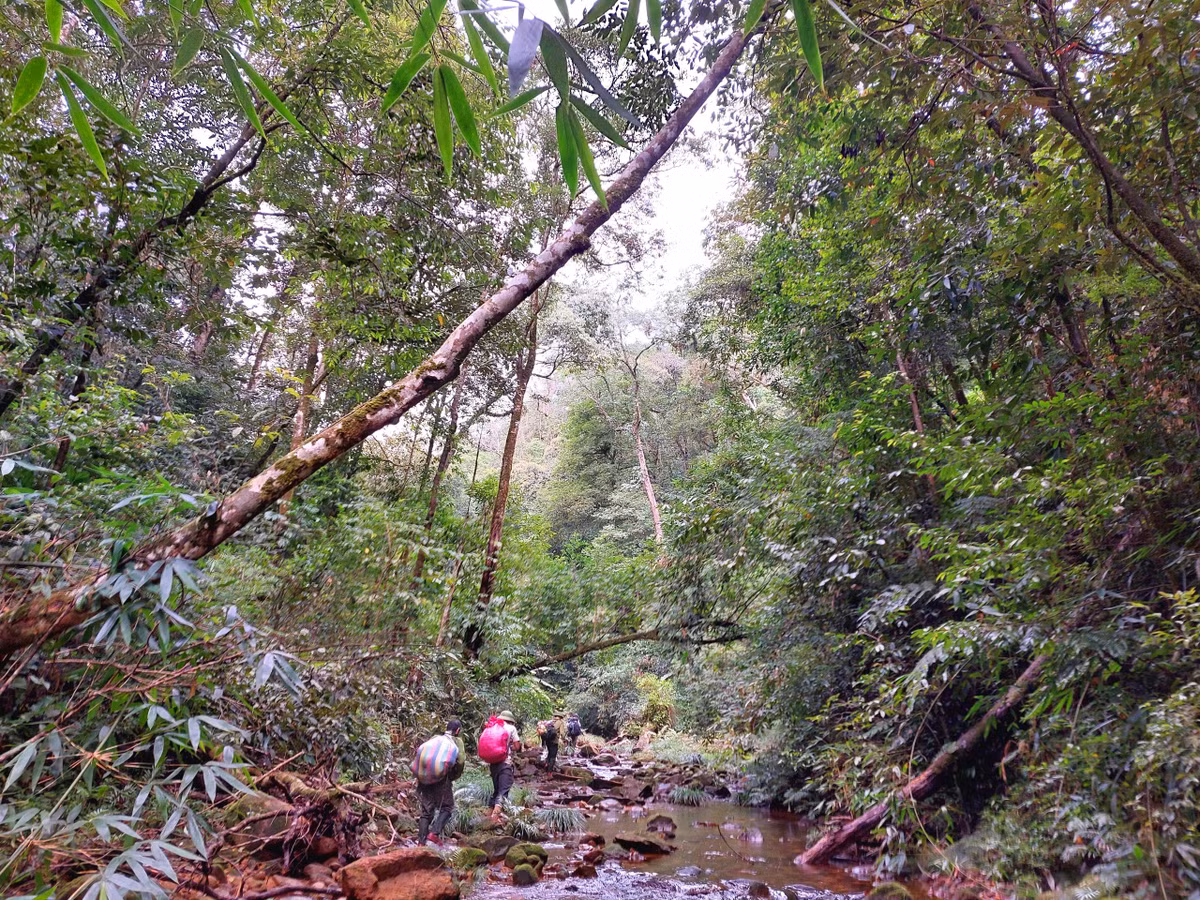Vườn Quốc gia Vũ Quang thành lập vào ngày 30/7/2002, được công nhận là "Vườn Di sản ASEAN” năm 2018, nằm trên địa bàn các huyện miền núi Vũ Quang, Hương Khê và Hương Sơn, với tổng diện tích là 57.029,84ha.