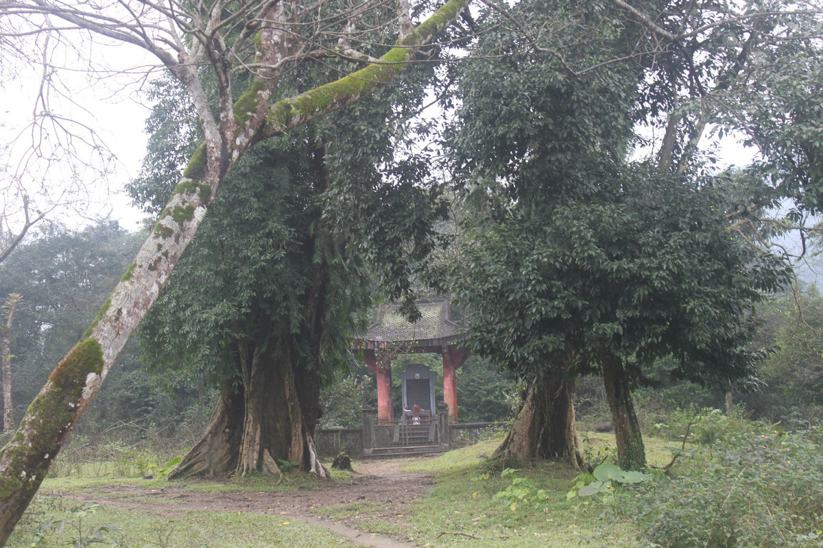 Không chỉ có tài nguyên thiên nhiên, hệ động thực vật đa dạng, phong phú, Vườn Quốc gia Vũ Quang còn là nơi ghi dấu chứng tích những chiến công oanh liệt của nhà yêu nước Phan Đình Phùng và nghĩa quân trong cuộc kháng chiến chống thực dân Pháp thời kỳ phong trào Cần Vương những năm cuối thế kỷ 19.