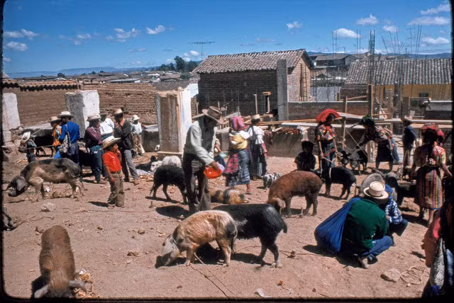 Một hình ảnh tương tự. Ảnh VT