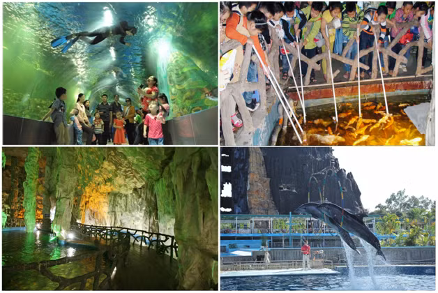 Ngoài các động vật có vú, vườn thú Thiên Đường Bảo Sơn còn loài chim quý hiếm đến từ Nam Mỹ như vẹt đỏ cánh xanh, chim Toucan và các loài bò sát đặc trưng đến từ các vùng nhiệt đới. Bên cạnh đó, với hệ thống thủy cung thuộc dạng lớn nhất miền Bắc, đây là sẽ điểm đến thú vị vào dịp lễ Quốc khánh 2/9 cho cả gia đình bạn.