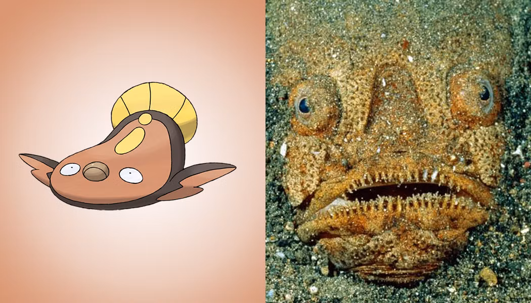 Pokemon Stunfisk là một loài Pokemon ít gây chú ý tuy nhiên chúng có cách tấn công khiến nhiều con mồi khiếp sợ. Đặc biệt, ngoại hình của Stunfisk giống hệt như loài cá Stargazer, một loài cá xấu xí bậc nhất dưới đáy biển, thường xuyên ẩn nấp trong cát và tấn công con mồi một cách bất ngờ.