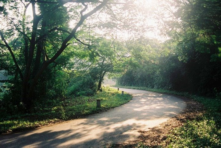 Một trong những vườn quốc gia hot nhất Việt Nam là vườn quốc gia Ba Vì, Hà Nội. Từ đầu thế kỷ 20, Ba Vì đã nổi tiếng với sự đa dạng của các hệ sinh thái và cảnh quan đẹp, khí hậu mát mẻ. Vườn quốc gia Ba Vì nằm ở một ngọn núi cao khoảng chạy theo hướng đông bắc-tây nam với Tản Viên là cao điểm, cao 1.296m, và đỉnh Ngọc Hoa cao 1.120m.