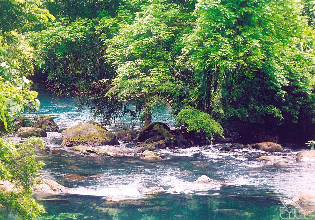 Đồng thời,vườn quốc gia Phong Nha - Kẻ Bàng cũng có lịch sự phát triển địa chất phức tạp, kéo dài từ 400 triệu năm trước của Trái đất, từ thời kỳ Đại Cổ Sinh do đó là carxtơ cổ nhất ở châu Á.Trải qua các giai đoạn kiến tạo quan trọng, những biến động trên cũng góp phần vào sự đa dạng về địa chất, địa hình, địa mạo của khu vực này.