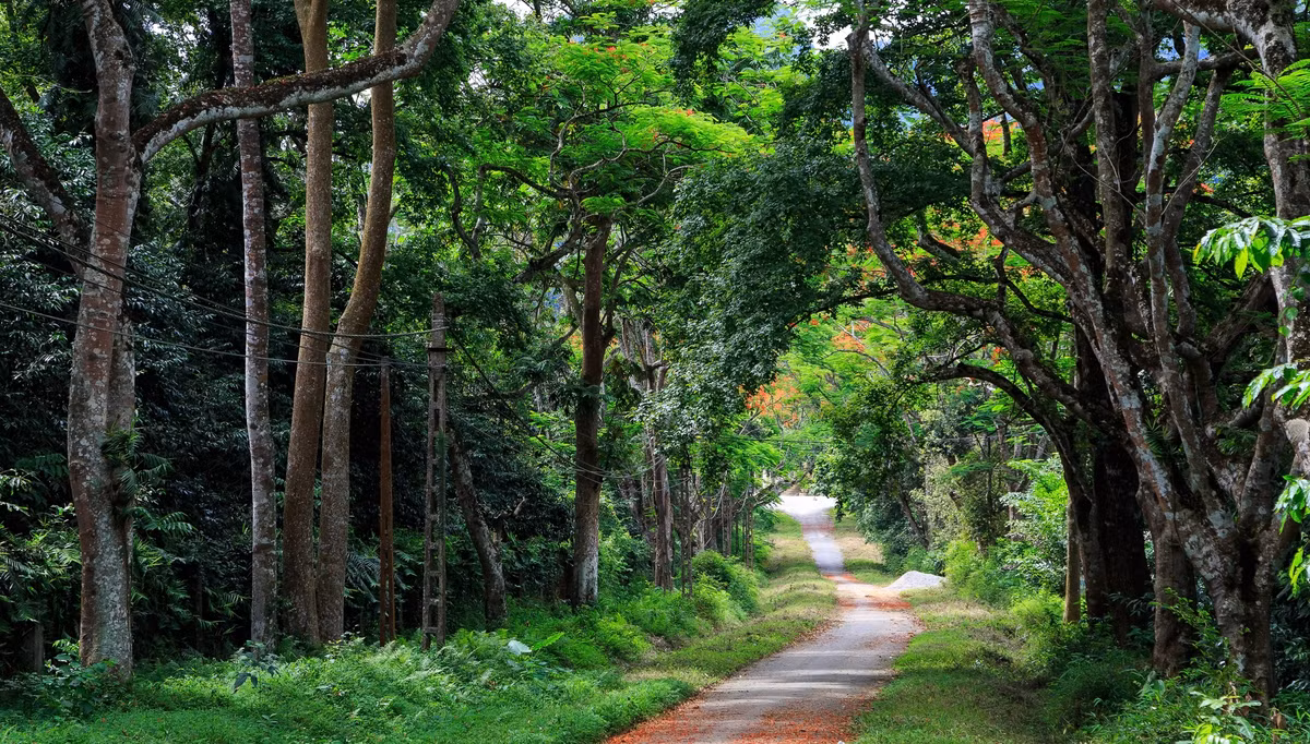Vườn Quốc gia Cúc Phương được coi là khu bảo tồn thiên nhiên đầu tiên ở Việt Nam. Nằm trên lãnh thổ của ba tỉnh Ninh Bình, Hòa Bình và Thanh Hóa, vườn quốc gia Cúc Phương nổi tiếng trong và ngoài nước bởi hệ sinh thái rừng vô cùng phong phú, cảnh quan thiên nhiên tươi đẹp đi cùng các giá trị lịch sử của cư dân bản địa.