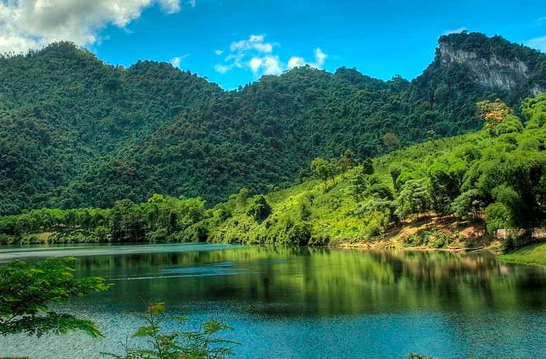 Theo nghiên cứu của các nhà khoa học, tại vườn quốc gia Pù Mát có những loài động vật đặc hữu của Đông Dương như thỏ sọc Bắc Bộ, sao la, vượn đen má trắng... ở đây.Ngoài ra còn có các ghi nhận về mang lớn, mang Trường Sơn, voọc chà vá chân nâu, hổ, voi, cầy vằn.Tổng số có 259 loài chim được phát hiện, trong đó 22 loài có nguy cơ tuyệt chủng, nhiều loài chim quý, hiếm như trĩ sao, niệng cổ hung..